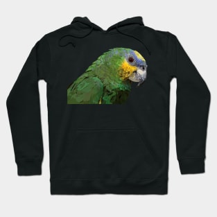 Orange-winged Amazon Hoodie